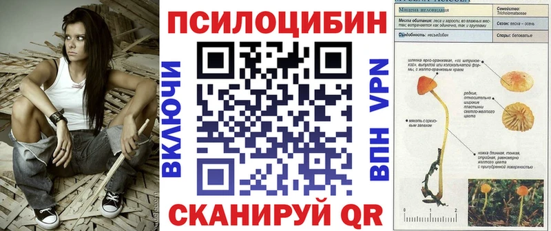 Псилоцибиновые грибы Cubensis  Солигалич 